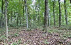 Helens Run Road, Worthington, WV 26591