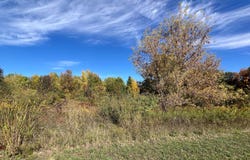 5577 Cannon Meadows Drive, Ada, MI 49301