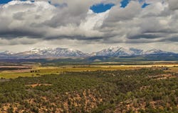 4349 CR 105, Hesperus, CO 81326