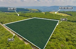 0 157 Highway GA, Menlo, GA 30731