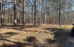 Island Shores, Greers Ferry, AR 72067