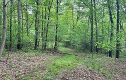 0 Oliver Lipscomb, Aurora, WV 26705