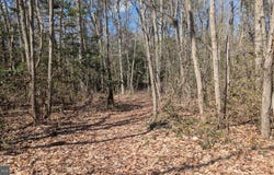 COOL RUN Road, BRIDGETON, NJ 08302