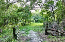 Tbd SW 31ST WAY, WEBSTER, FL 33597