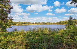 24020 Wildflower Circle, Lindale, TX 75771