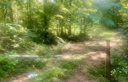 11810 County Road 9, West Blocton, AL 35184