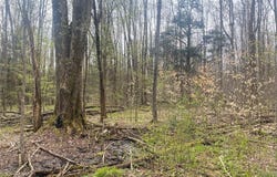 6281 E Hill Road, Caneadea, NY 14717
