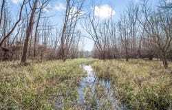1 Rodney Bend Road, Lorman, MS 39096