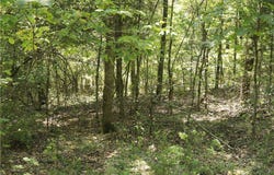 201 E Bo Peep Circle lot: 104, Horseshoe Bend, AR 72512