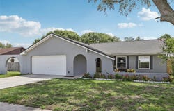 1009 BLACK KNIGHT Drive, VALRICO, FL 33594
