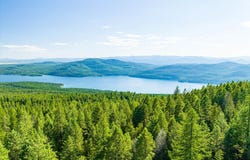 Nhn Big Mountain Road, Whitefish, MT 59937