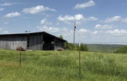 Mountain View, AR 72560