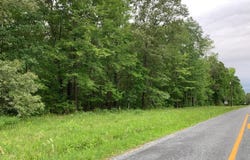 BLACK BOTTOM ROAD, GALENA, MD 21635