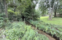 305 Pierce St, Opp, AL 36467