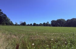 N Maple Street, Dadeville, MO 65635