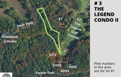 3 Deer Path, Bellaire, MI 49615