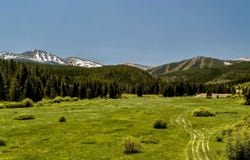 4 Ramble Lane, Winter Park, CO 80482