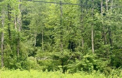 Owego Turnpike (LOT B), Honesdale, PA 18431