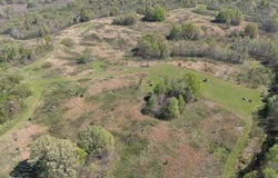 Hogfoot Road, SENATOBIA, MS 38668