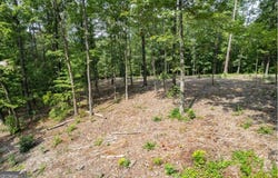 Lot 314 Pebble, Talking Rock, GA 30175