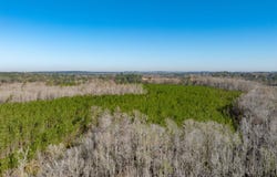0 James Noble Road, Greenville, FL 32331