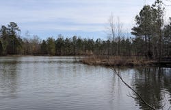 8411 Tn-69a, Big Sandy, TN 38221