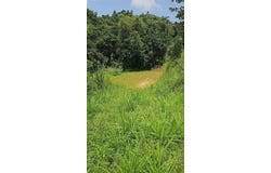 Lote #7 BO MONTELLANO, CIDRA, 00739