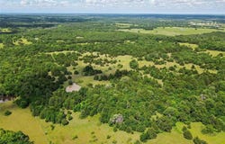 91 Acres Cr-189, Gainesville, TX 76240