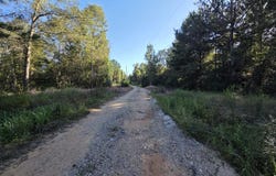 NHN Parcel 5 Redfish Rd, Poplarville, MS 39470