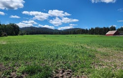 NKAParcel2 Desmet Rd, Desmet, ID 83824