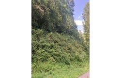 00 Childress Rd, Mouthcard, KY 41548