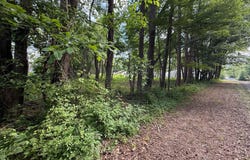 BAY Drive, STEVENSVILLE, MD 21666