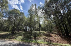 232 Co Rd 1123, Vinemont, AL 35179