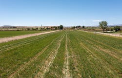 857 R Road, Mack, CO 81525