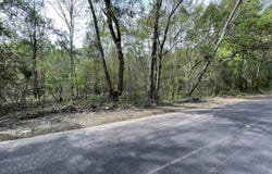 Tbd Cartoon Circle, Eutawville, SC 29048