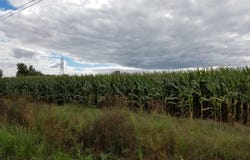 S St Rd 103, New Castle, IN 47362