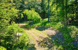 983 Stoney Brook Road, Springfield, NH 03284