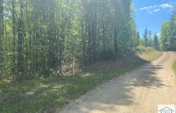 Timber Run Dr lot: 12, Woolwine, VA 24185