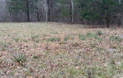 5.47ac Hwy 790 Road, Bronston, KY 42518