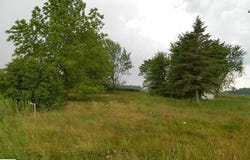 8010 E Battle Road, Clare, MI 48617-1234