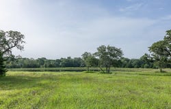 TBD 2839 Schoenst Road, Carmine, TX 78932