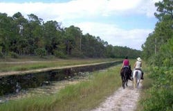 1340 Arabian Drive, Loxahatchee, FL 33470