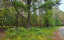 Lot 50 WHITETAILED DEER DR, Tomahawk, WI 54487