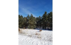 ON 13TH AVENUE, Nekoosa, WI 54457