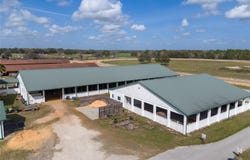 4695 NE 112TH LANE, ANTHONY, FL 32617
