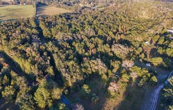 0 NW 100TH AVENUE ROAD, REDDICK, FL 32686