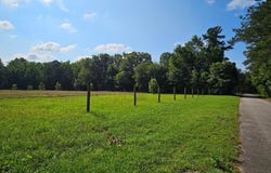 Tbd Pompey Town Road, Greeleyville, SC 29056
