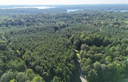 10 William Drive, Dadeville, AL 36861