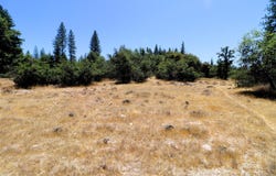 1402 Meredith Lane, Railroad Flat, CA 95248