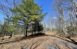 134 Maple Drive, Cresco, PA 18326